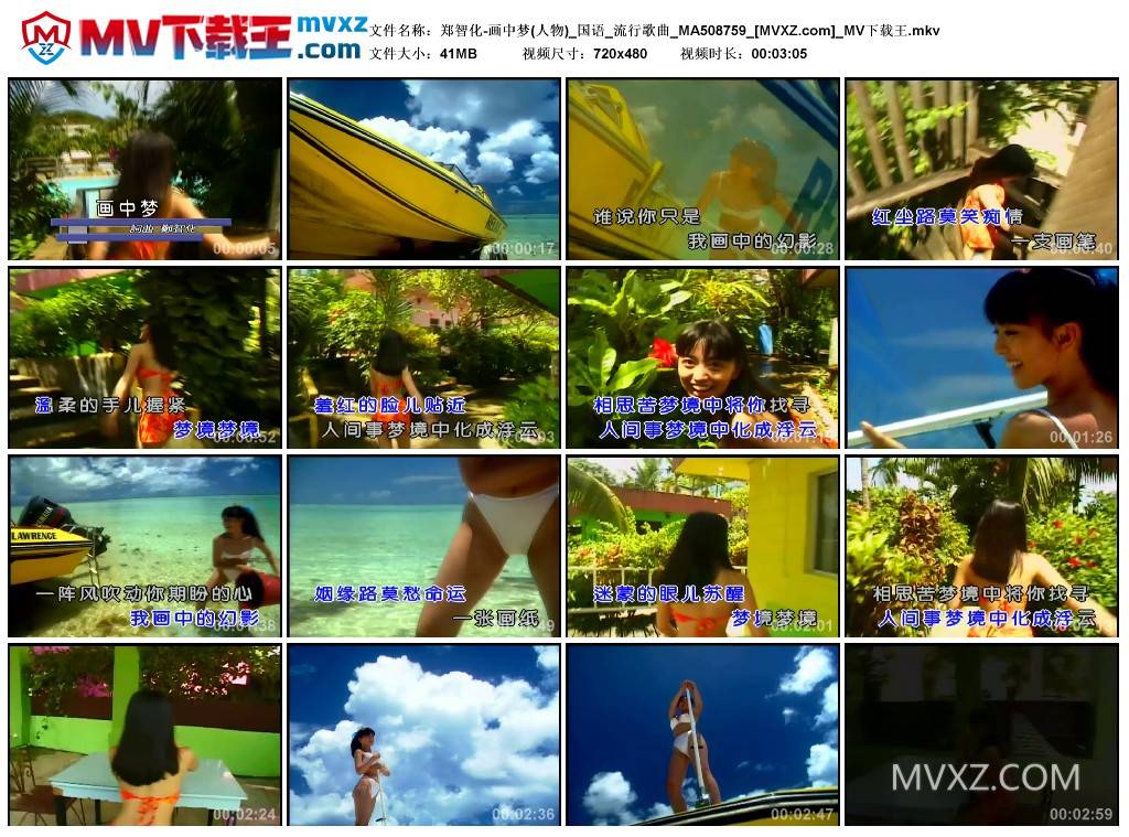 郑智化-画中梦(人物)_国语_流行歌曲_MA508759